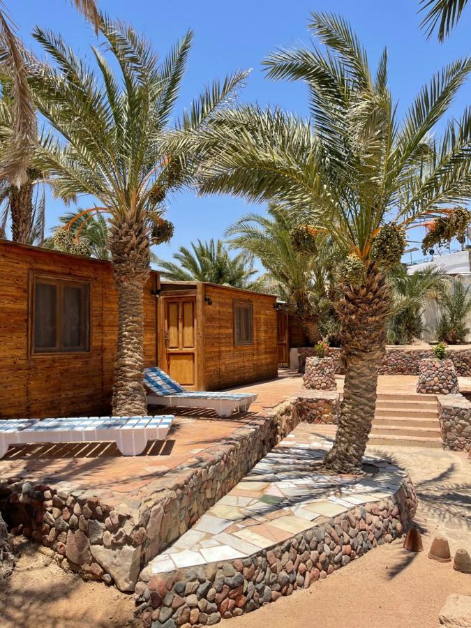 Dolphin Camp Hotel Dahab Buitenkant foto