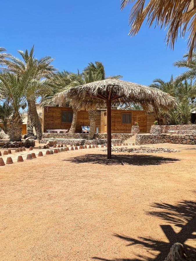 Dolphin Camp Hotel Dahab Buitenkant foto