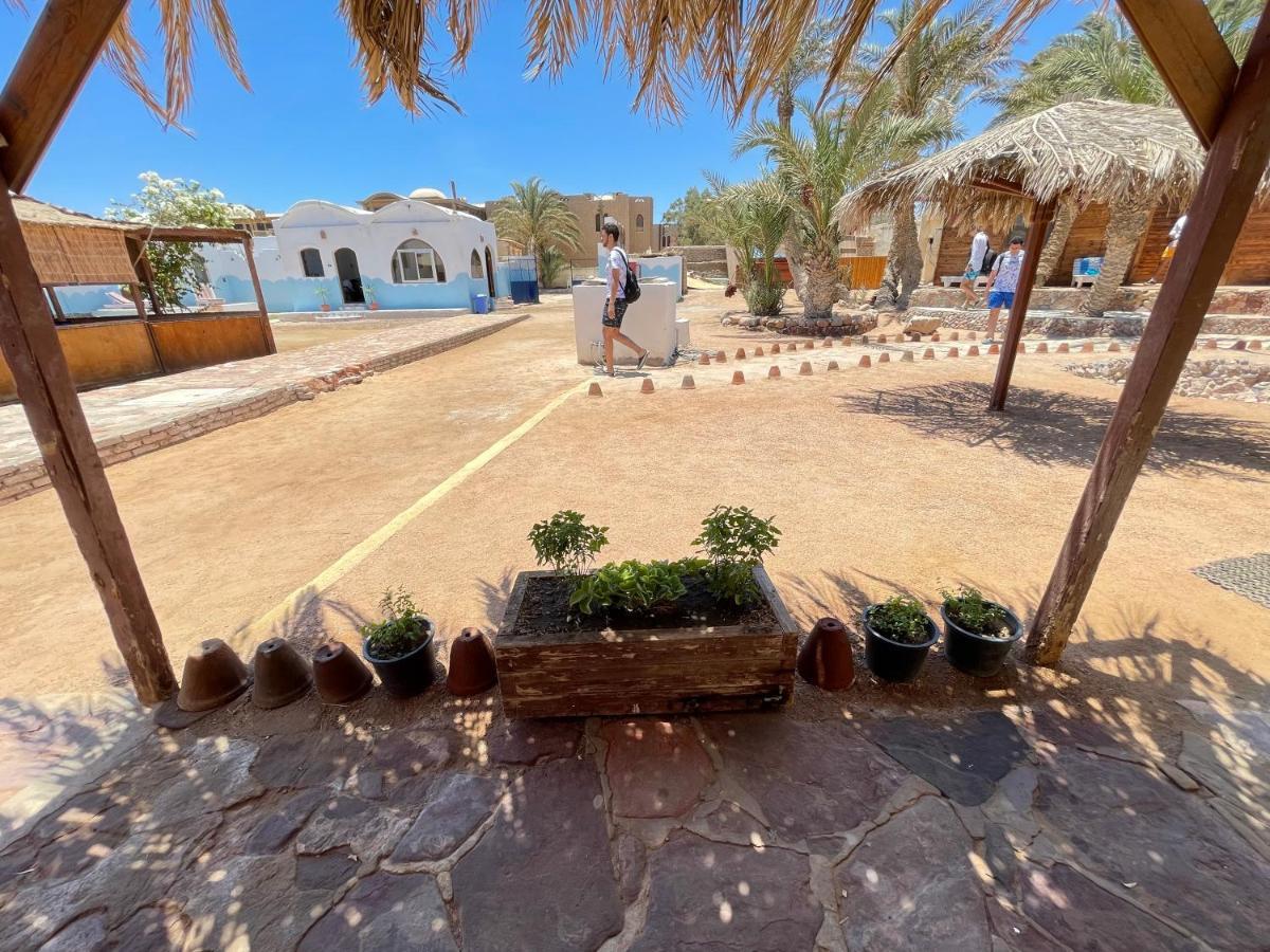 Dolphin Camp Hotel Dahab Buitenkant foto