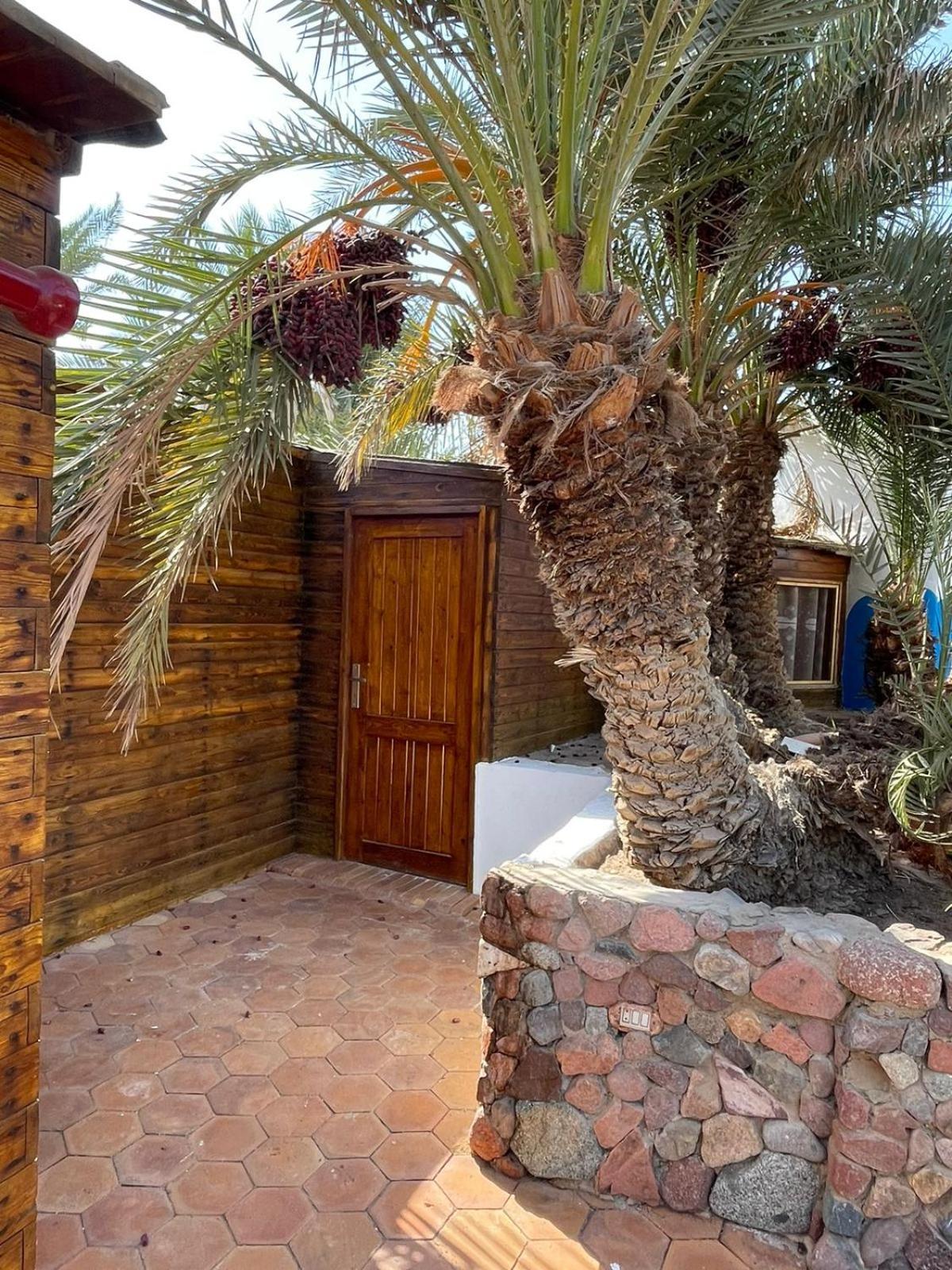 Dolphin Camp Hotel Dahab Buitenkant foto