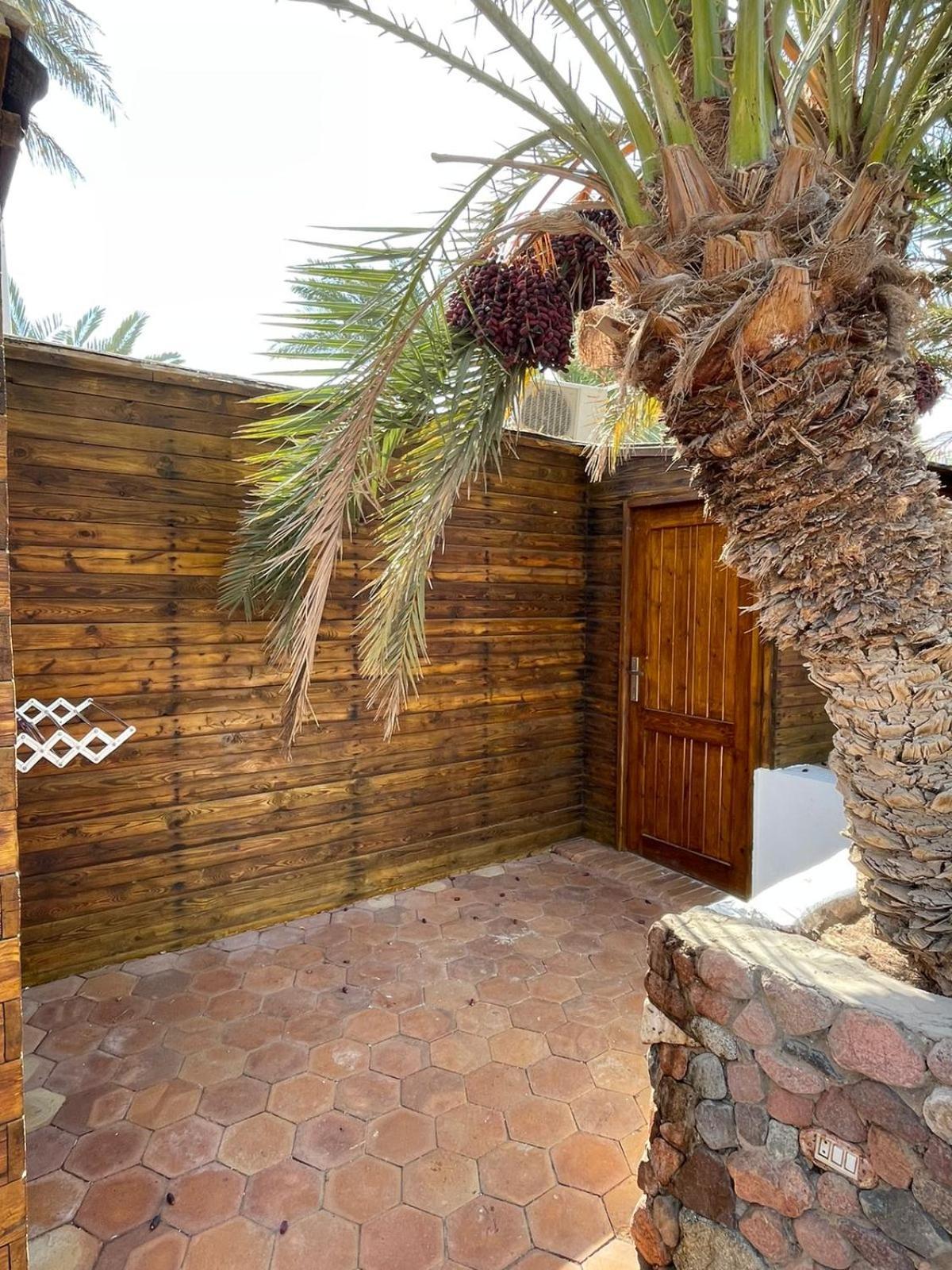 Dolphin Camp Hotel Dahab Buitenkant foto